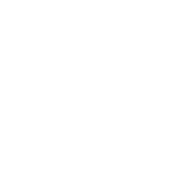 SmartSpun Laundry service icon