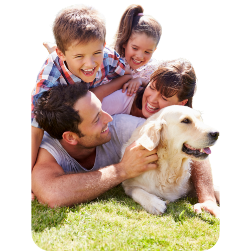 Happy laundry free family (2)