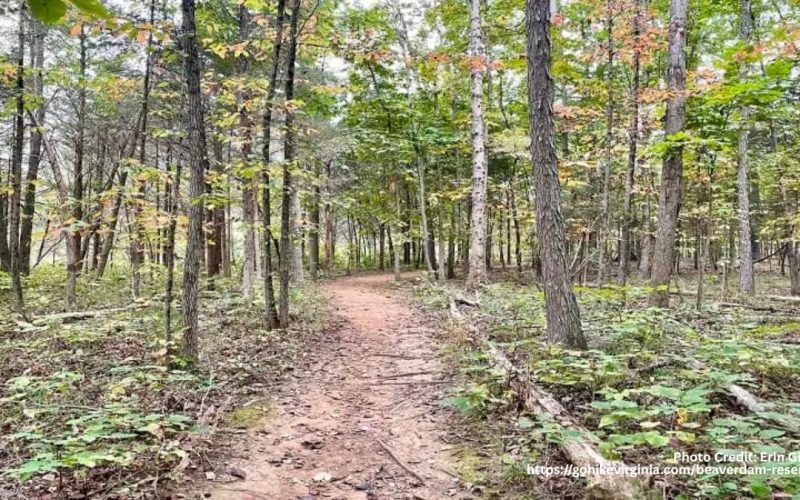 ashburn-va-beaverdam-creek-trail